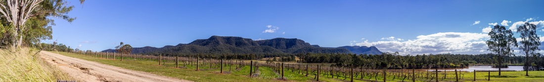 Landscape photography winery panoramic